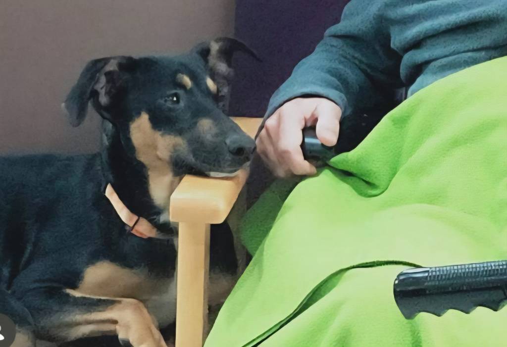 Manuela, el corazón peludo de nuestra&nbsp;residencia